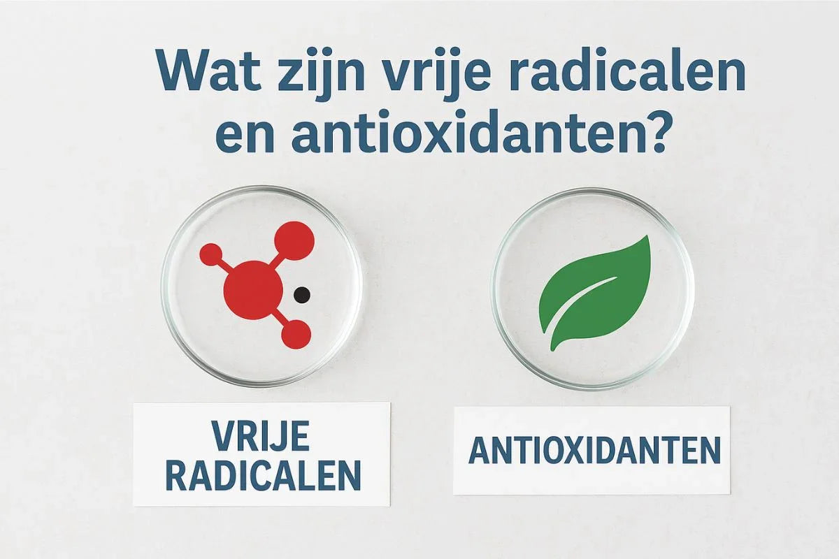 Iconen van vrije radicalen en antioxidanten