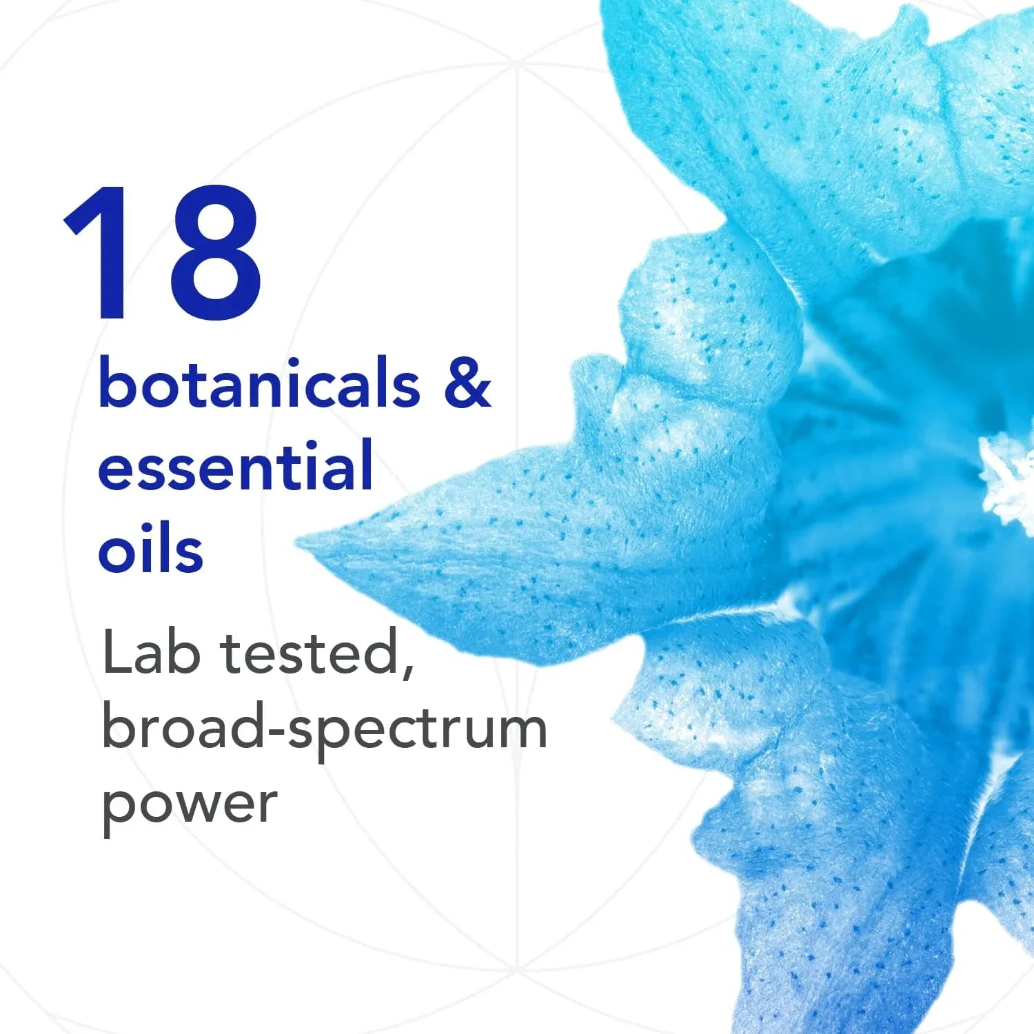 Biocidin LSF - Liposomal Formulation