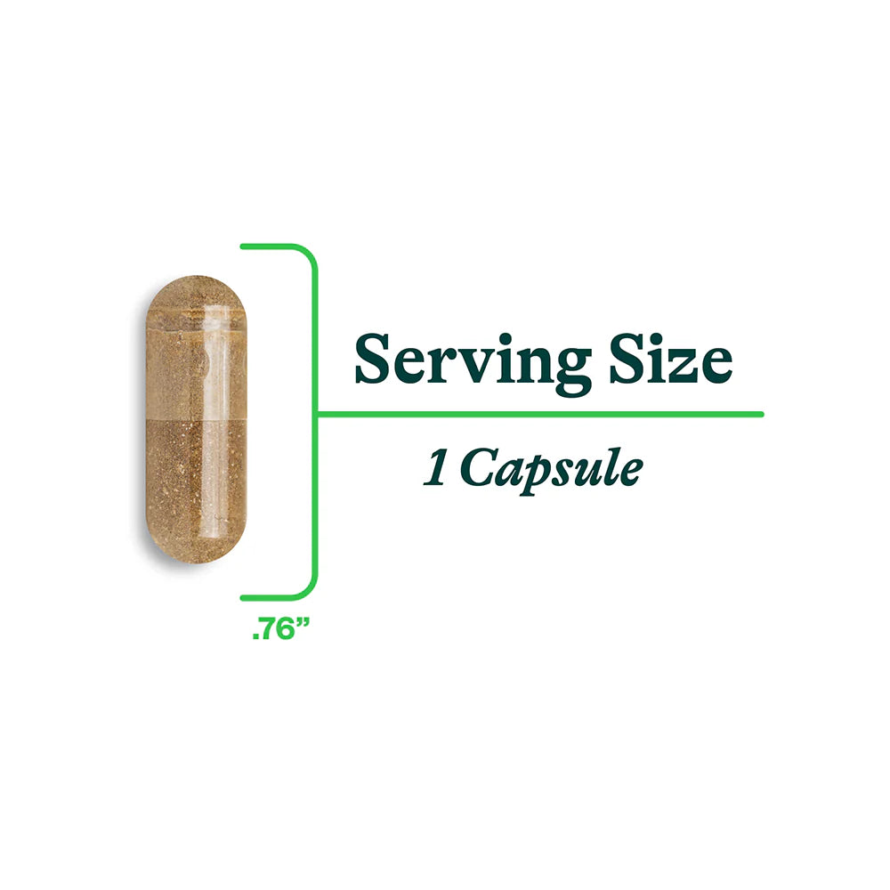 Ox Bile - 120 capsules