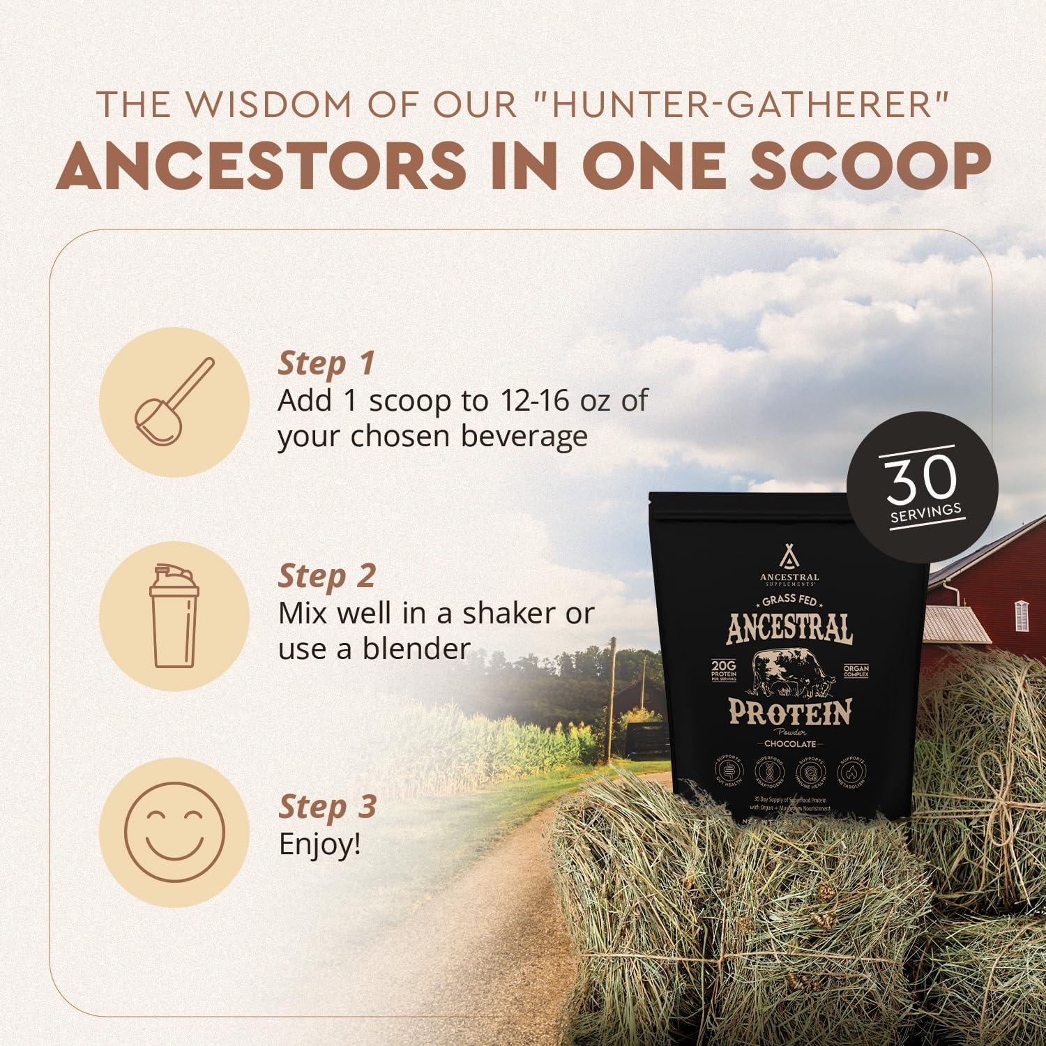 Ancestral Eiwitpoeder - Grasgevoerd & Choco- 744 gram - Ergomax