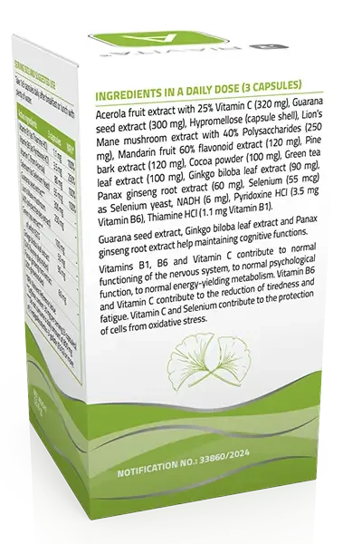 flaMENTIS - 90 capsules