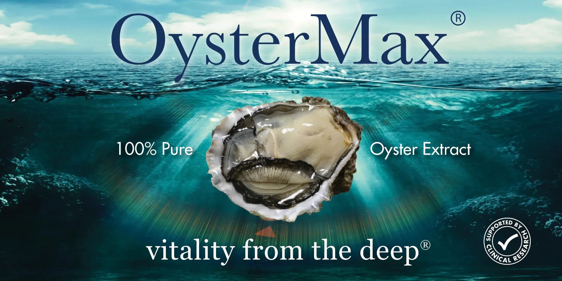 OysterMax® - Oesterextract - Ergomax