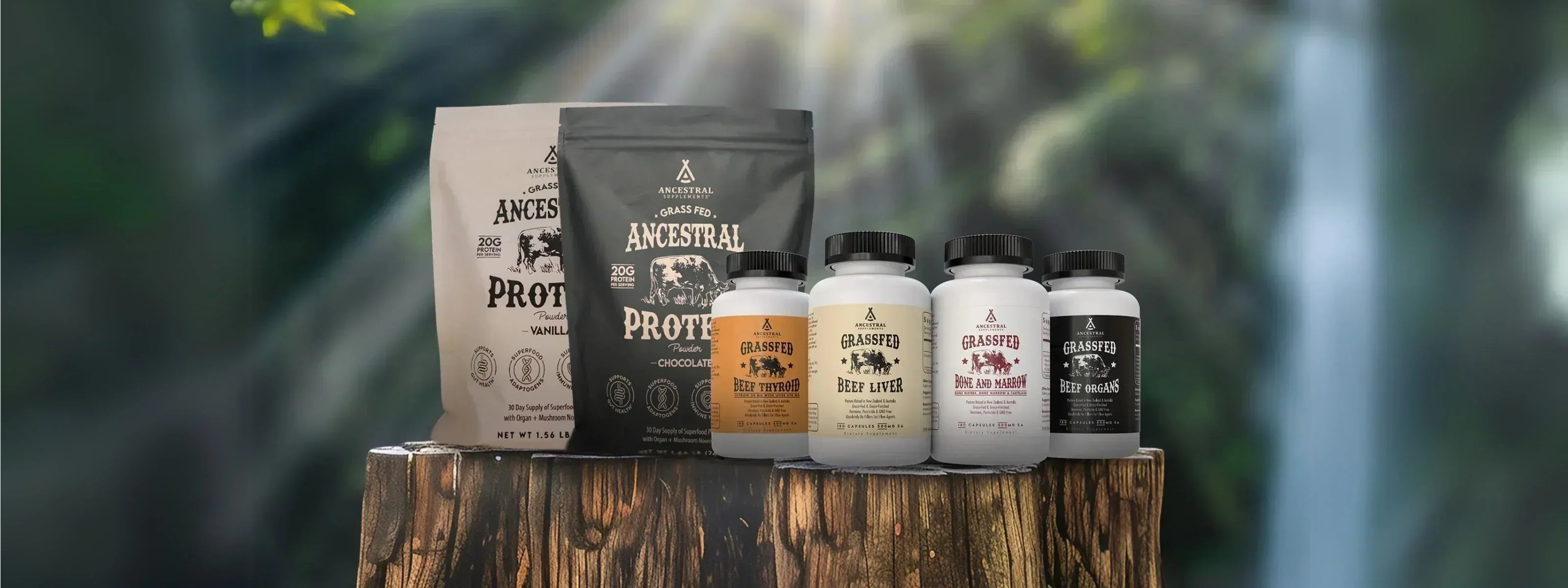 Ervaar de kracht van orgaanextracten met Ancestral Supplements