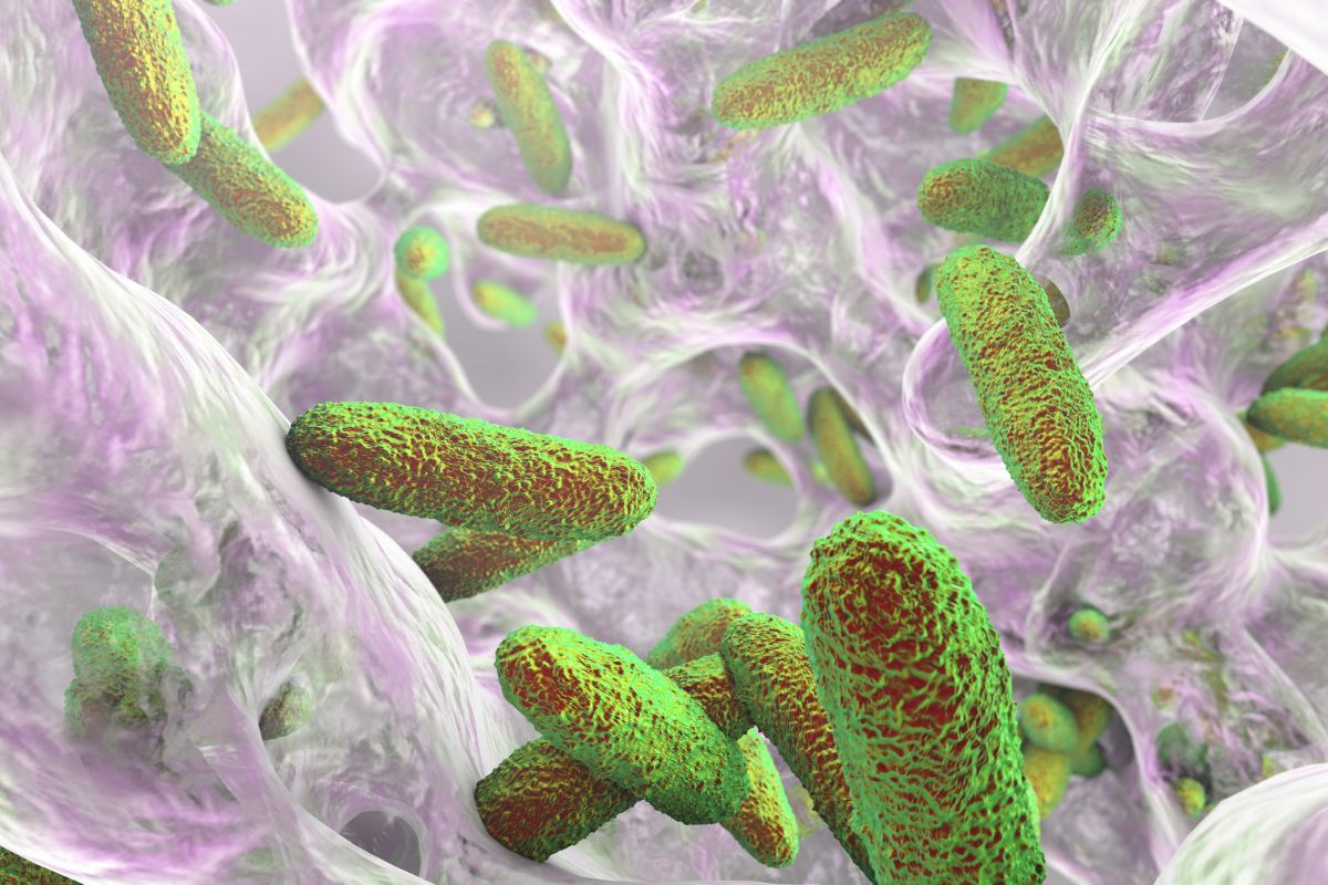 Biofilms de ideale leefomgeving voor micro-organismen - Ergomax