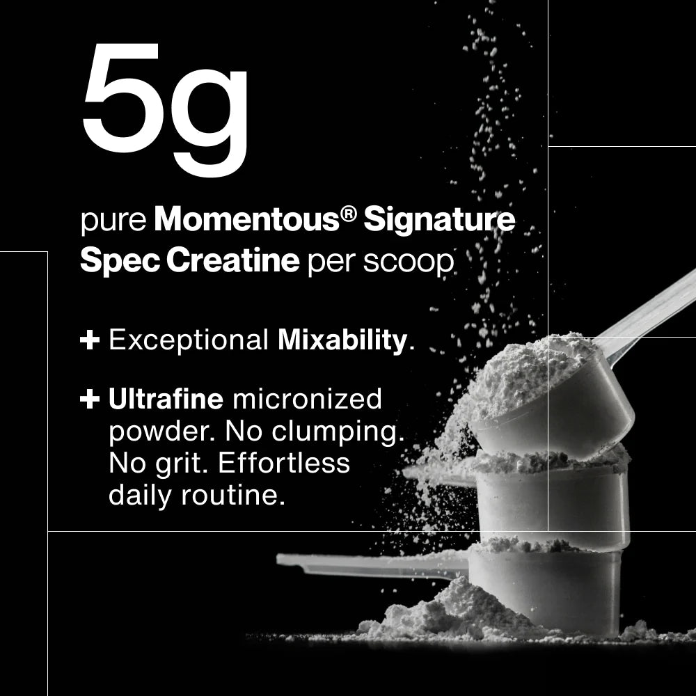 Creatine Powder - 450 grams