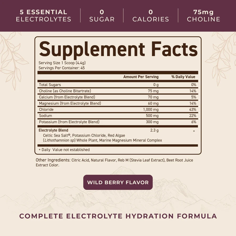 Ancestral Electrolytes - 200 grams
