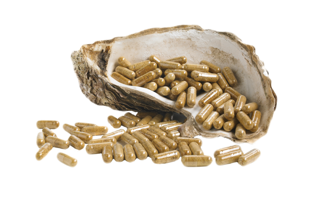 OysterMax® - Oesterextract - Ergomax