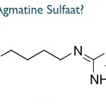 What is Agmatine Sulfate?